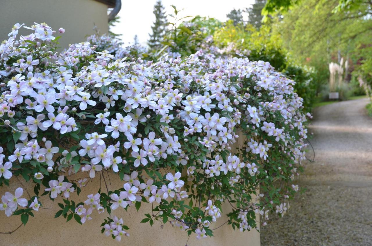Le Clos Fleuri Bed and Breakfast Giverny Eksteriør billede